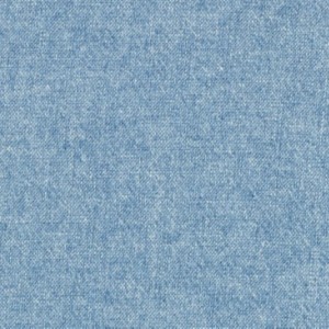 Chambray Cotton